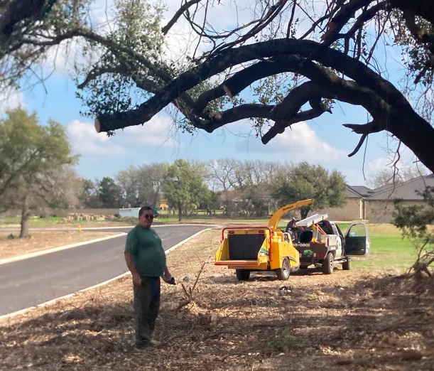 tree trimming services branch cutting holland tx